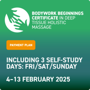 Bodywork Beginnings - February 2025 - Payment Plan